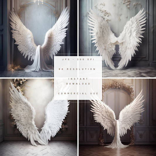 Elegant Angel Wings